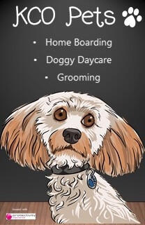 Winner small image - KCO Pets